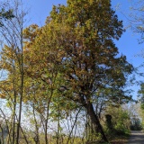 1 - I colori dell'autunno in Oltrepò Pavese