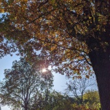 2- I colori dell'autunno in Oltrepò Pavese